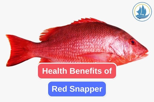 10 Reasons Why Eating Red Snapper Is Good for Your Health